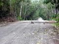 0704 calakmul 07